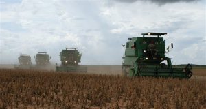 Mato Grosso colhe quase 25% da soja e abre espaço para plantio da safrinha
