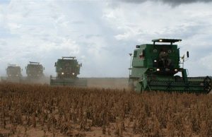 Mato Grosso colhe quase 25% da soja e abre espaço para plantio da safrinha