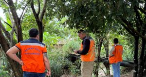 Força das chuvas coloca Colíder em Estado de Emergência; Mato Grosso conta com mais 4 municípios na mesma situação