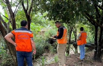 Força das chuvas coloca Colíder em Estado de Emergência; Mato Grosso conta com mais 4 municípios na mesma situação