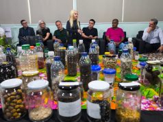 Do voto à preservação: TRE lidera movimento ambiental em Colíder com o lançamento do projeto SilvesTRE Bolitas de Sementes