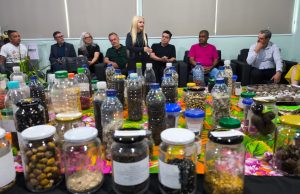 Do voto à preservação: TRE lidera movimento ambiental em Colíder com o lançamento do projeto SilvesTRE Bolitas de Sementes