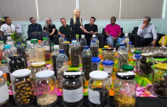 Do voto à preservação: TRE lidera movimento ambiental em Colíder com o lançamento do projeto SilvesTRE Bolitas de Sementes