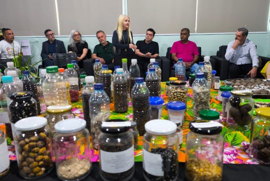 Do voto à preservação: TRE lidera movimento ambiental em Colíder com o lançamento do projeto SilvesTRE Bolitas de Sementes