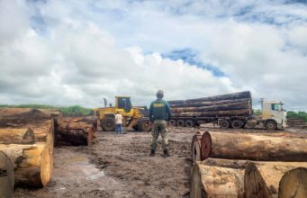 Operação do Ibama intercepta madeira ilegal em pátio abandonado no interior de MT