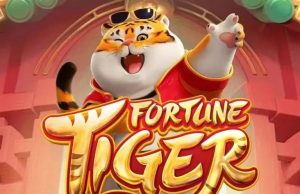 “Tigrinho” o câncer silencioso: funcionária desvia R$ 1,3 milhão de empresa no Norte de MT para sustentar vício