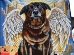 Artista faz pintura gigante do cão Orelha e pede justiça; vídeo