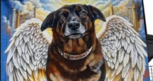 Artista faz pintura gigante do cão Orelha e pede justiça; vídeo