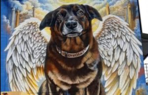 Artista faz pintura gigante do cão Orelha e pede justiça; vídeo