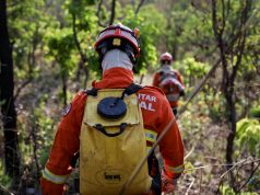 OPORTUNIDADE: Curso de Gestão de Incêndios Florestais abre vagas e fortalece combate ao fogo em Mato Grosso