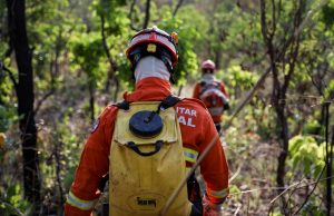 OPORTUNIDADE: Curso de Gestão de Incêndios Florestais abre vagas e fortalece combate ao fogo em Mato Grosso