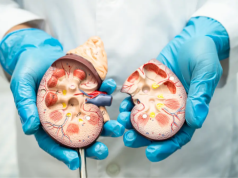 Revolução na medicina: cientistas conseguem reverter doença renal crônica regenerando células dos rins