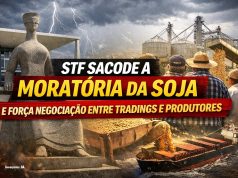 Virada no STF: Moratória da Soja entra em nova fase após pressão do campo