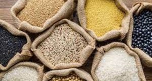 AUMENTO DE CUSTO E REDUÇÃO DE LUCRO: MT produz recordes, mas perde bilhões por falta de armazéns