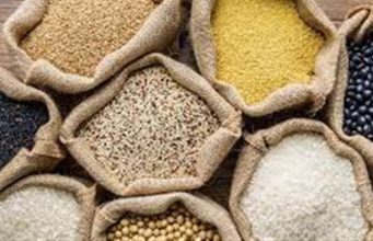 AUMENTO DE CUSTO E REDUÇÃO DE LUCRO: MT produz recordes, mas perde bilhões por falta de armazéns