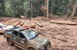 NORTÃO MT: Batalhão Ambiental da PM apreende mais de 174 m³ de madeira ilegal durante fiscalização em Marcelândia