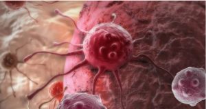 Cientistas desenvolvem bactéria que “come” o câncer: devora tumor de dentro para fora