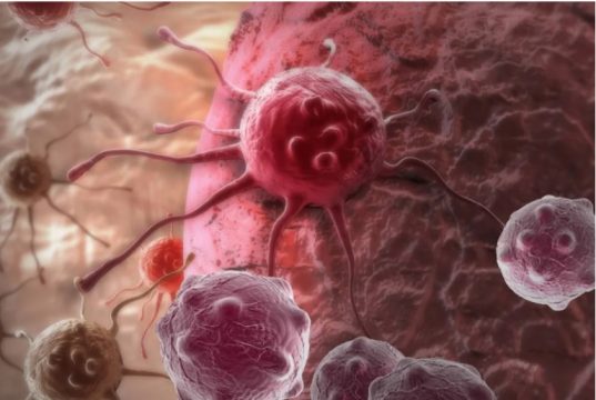 Cientistas desenvolvem bactéria que “come” o câncer: devora tumor de dentro para fora