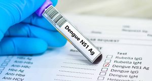 SUS agora tem teste rápido para dengue; veja como funciona