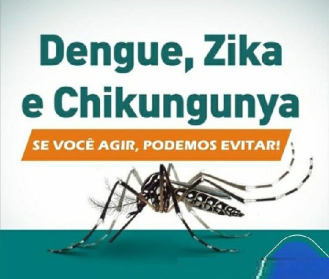 dengue, zika...