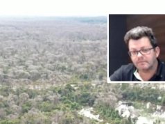 Maior desmatador do Pantanal: Justiça mantém condenação e expõe esquema