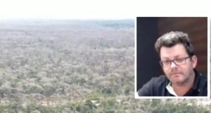 Maior desmatador do Pantanal: Justiça mantém condenação e expõe esquema