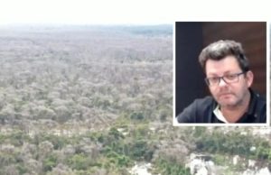 Maior desmatador do Pantanal: Justiça mantém condenação e expõe esquema