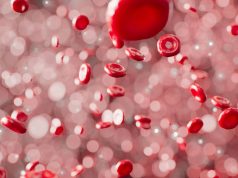 Novo exame de sangue indica quanto tempo de vida você ainda tem