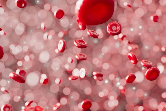 Novo exame de sangue indica quanto tempo de vida você ainda tem