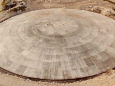 Alerta global: o ‘túmulo’ radioativo do pacífico está vazando e especialistas temem consequências catastróficas