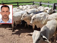 Preso vereador acusado de participar do roubo de R$ 120 mil em gado no interior de Mato Grosso
