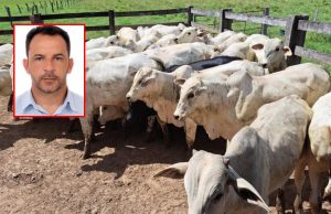 Preso vereador acusado de participar do roubo de R$ 120 mil em gado no interior de Mato Grosso