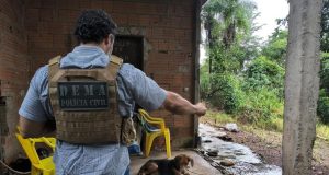 CRIME CRUEL: homem com antecedentes confessa abuso contra cachorro