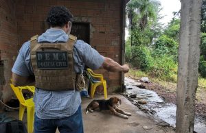CRIME CRUEL: homem com antecedentes confessa abuso contra cachorro