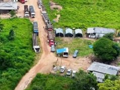 Revolta e Medo no Campo: retomada de apreensões de gado tira sossego de produtores de Castelo de Sonhos e região. VÍDEO