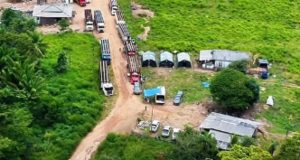 Revolta e Medo no Campo: retomada de apreensões de gado tira sossego de produtores de Castelo de Sonhos e região. VÍDEO