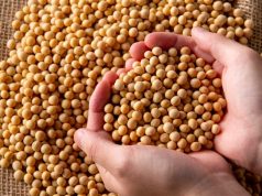 Soja dispara e mercado reage a fatores inesperados