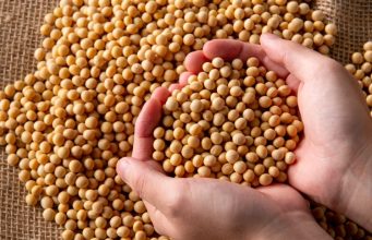 Soja dispara e mercado reage a fatores inesperados