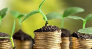 Fim do Fethab 2 em 2027 garante alívio ao agro e reforça competitividade em MT