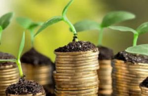Fim do Fethab 2 em 2027 garante alívio ao agro e reforça competitividade em MT