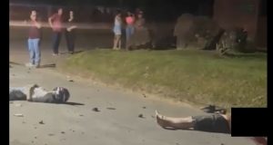 NORTÃO MT: identificadas vítimas que morreram em grave colisão envolvendo motos e carro