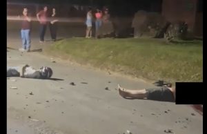 NORTÃO MT: identificadas vítimas que morreram em grave colisão envolvendo motos e carro