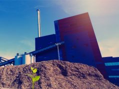 MEIO AMBIENTE: Audiência Pública debate uso de vegetação nativa em PSS nesta terça(07) às 14:00