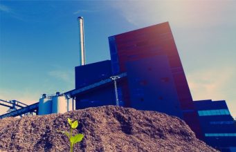 MEIO AMBIENTE: Audiência Pública debate uso de vegetação nativa em PSS nesta terça(07) às 14:00