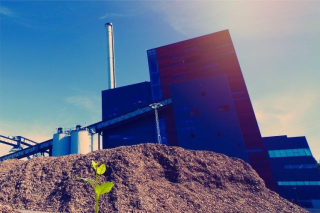 WhatsApp Image 2026-04-06 at 13_25_30