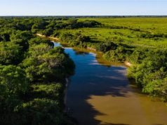 MT muda lei ambiental e redefine regras em áreas protegidas