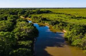 MT muda lei ambiental e redefine regras em áreas protegidas