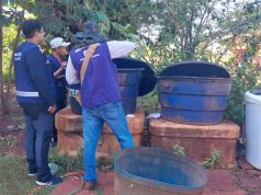 Chikungunya: ministro classifica como crítica situação em município brasileiro