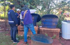 Chikungunya: ministro classifica como crítica situação em município brasileiro