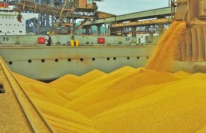 Guerra, inflação e clima sacodem o agro